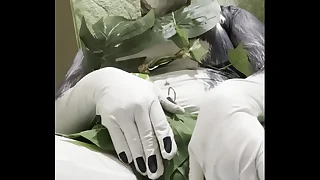 1364 masturbation porn videos